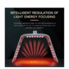CEUDERM CD-125 NANO MIST PDT LIGHT THERMAL FOR FACE AND BODY